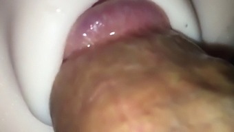 Penis